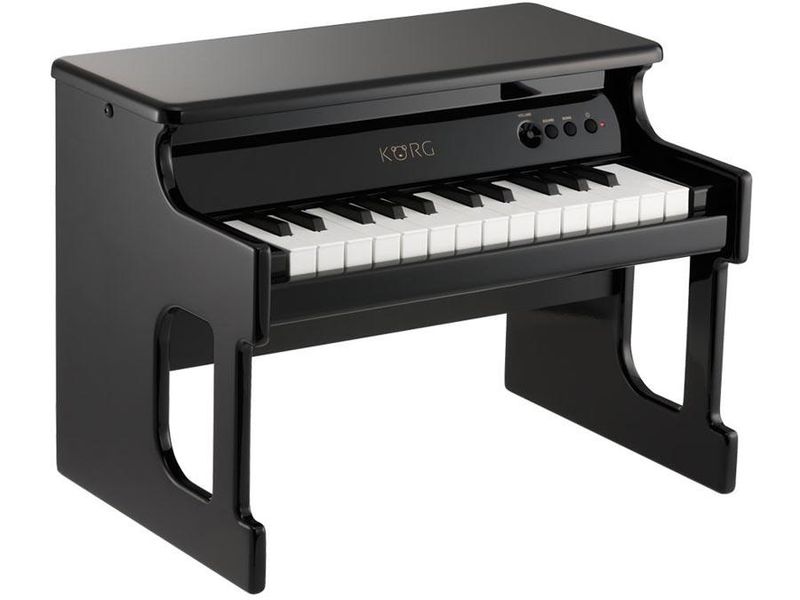 Korg tinyPIANO: Black