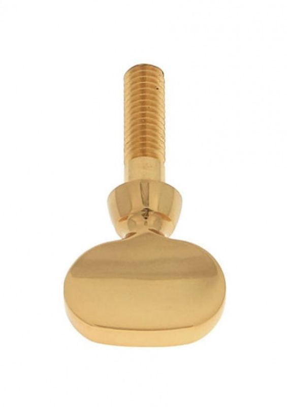 Yamaha y271 Neck Screw